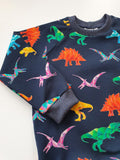 Organic Rainbow Dinosaur Sweatshirt