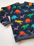 Organic Rainbow Dinosaur Sweatshirt
