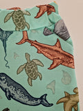 Organic Sea Creatures Shorts