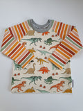 Organic Dinosaur stripes t-shirt