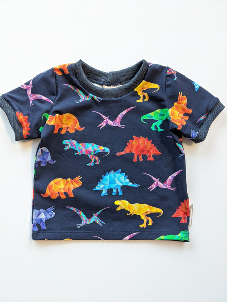 Organic Rainbow Dinosaur T-shirt