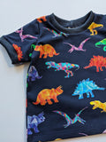 Organic Rainbow Dinosaur T-shirt